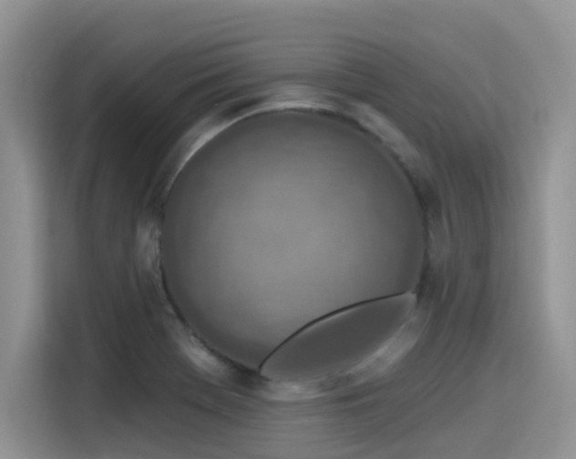 X0000115631369200911171327