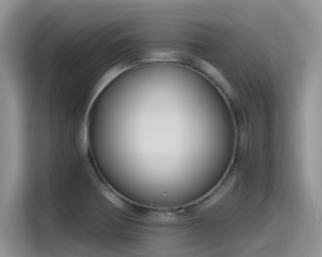 X0000115631370200911171327
