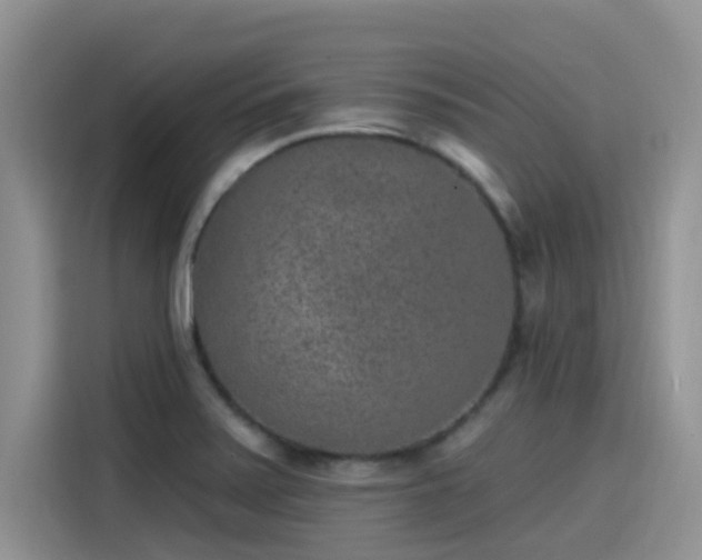 X0000115631371200911171327