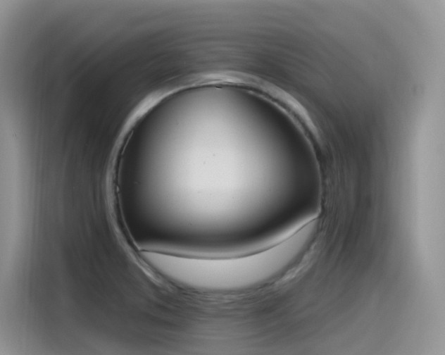 X0000115631373200911171327