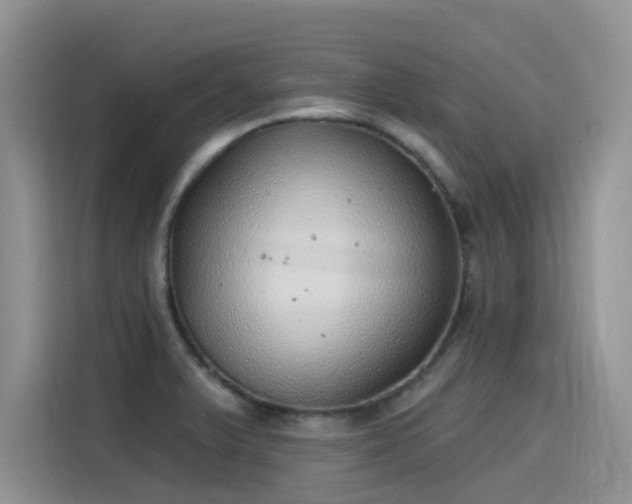 X0000115631375200911171327