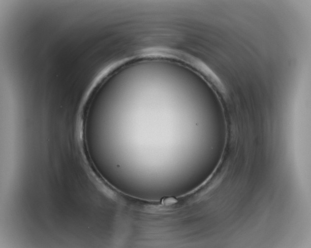 X0000115631376200911171327