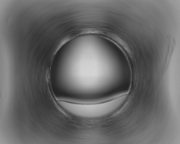 X0000115631377200911171327