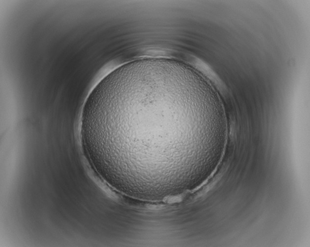 X0000115631378200911171327