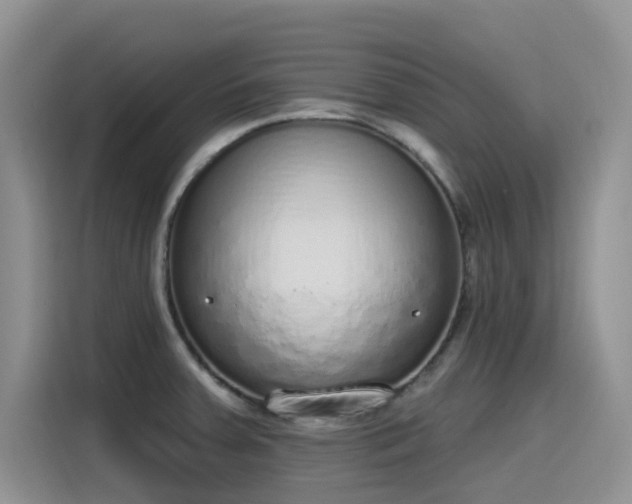 X0000115631379200911171327