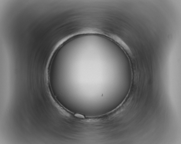 X0000115631380200911171327