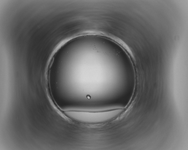 X0000115631381200911171327