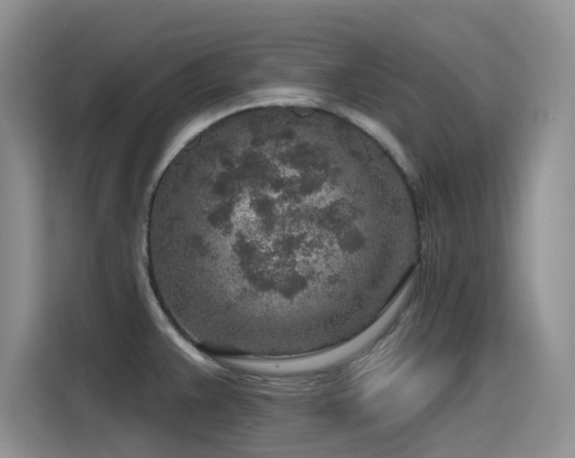 X0000115631383200911171327