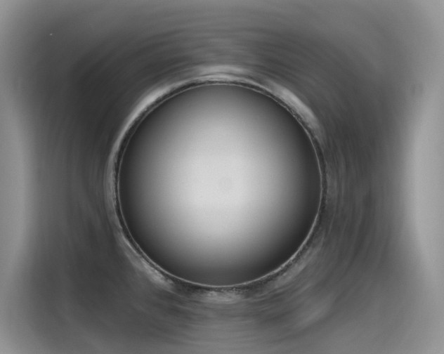 X0000115631384200911171327