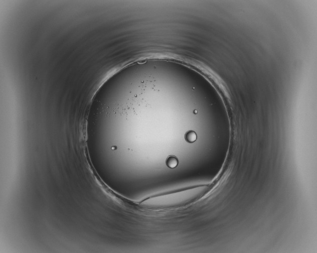 X0000115631385200911171327
