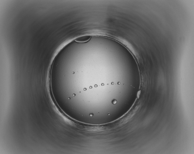 X0000115631387200911171327