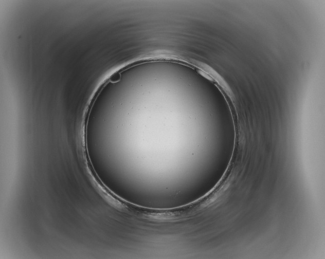 X0000115631388200911171327