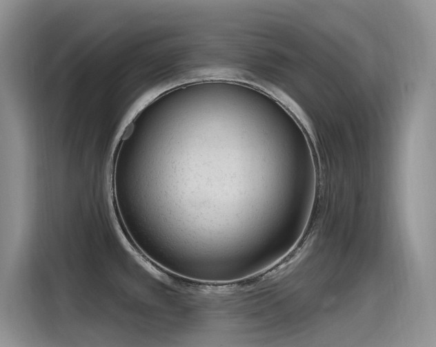X0000115631389200911171327