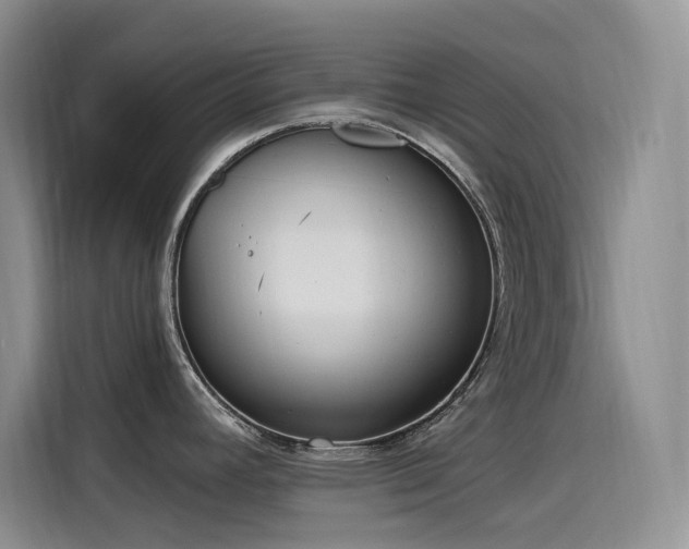 X0000115631392200911171327