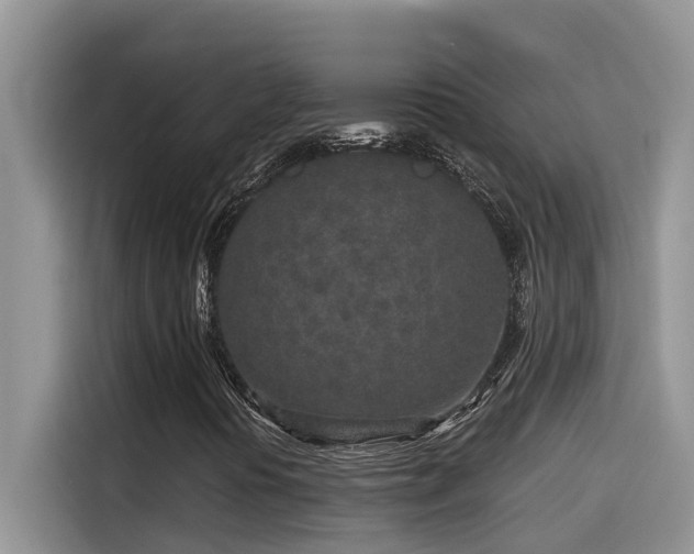 X0000115631394200911171326