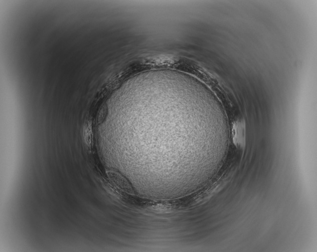 X0000115631395200911171326