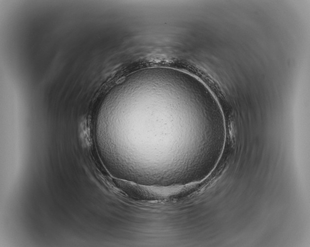 X0000115631396200911171326