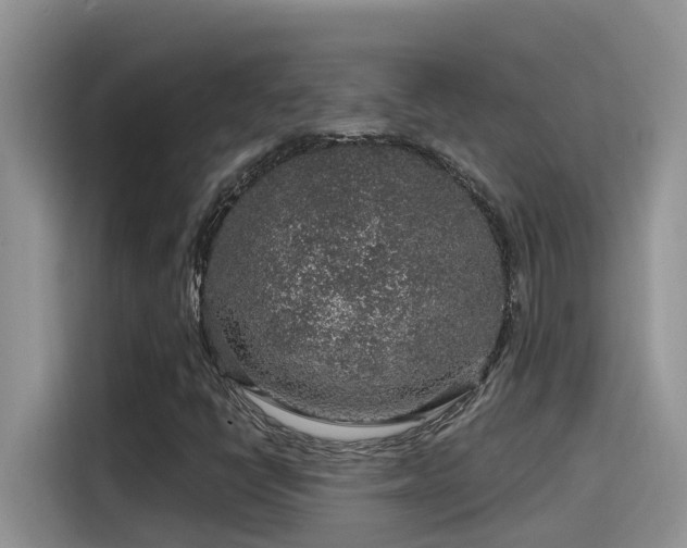 X0000115631398200911171326