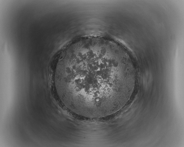 X0000115631399200911171326