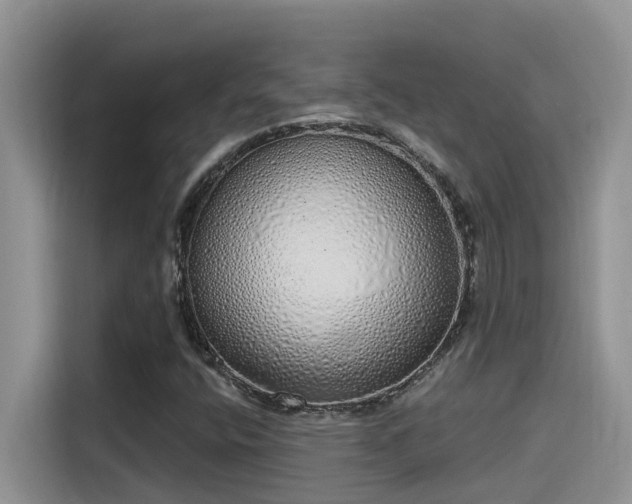 X0000115631400200911171326