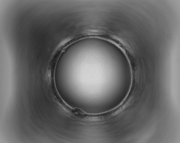 X0000115631402200911171326