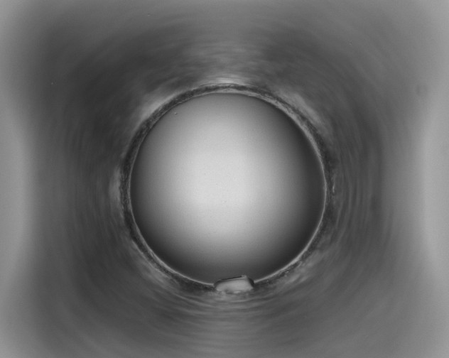 X0000115631404200911171326
