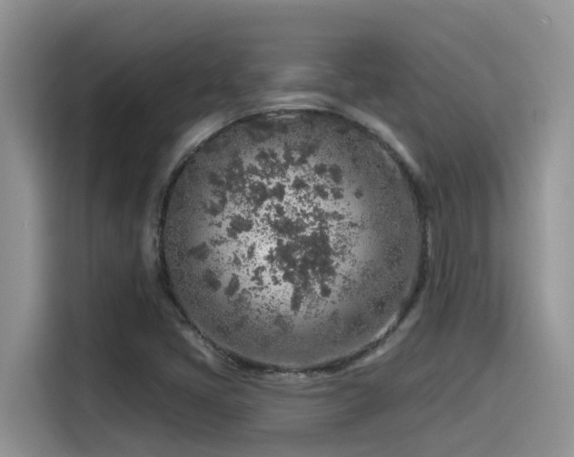 X0000115631405200911171326