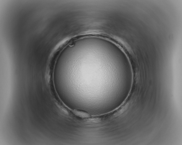 X0000115631406200911171326
