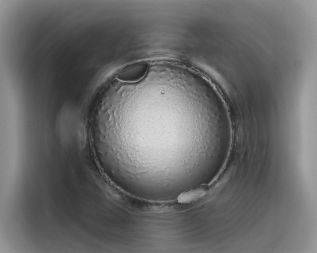 X0000115631407200911171326