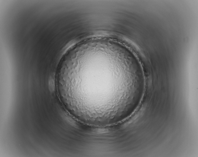 X0000115631409200911171327