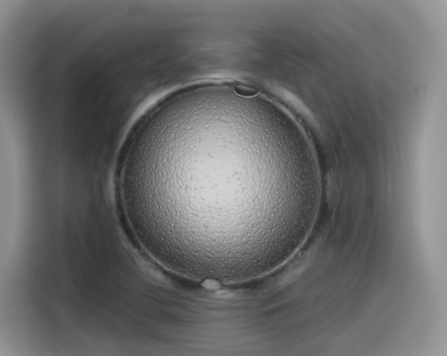 X0000115631412200911171327
