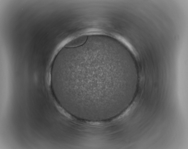 X0000115631413200911171327