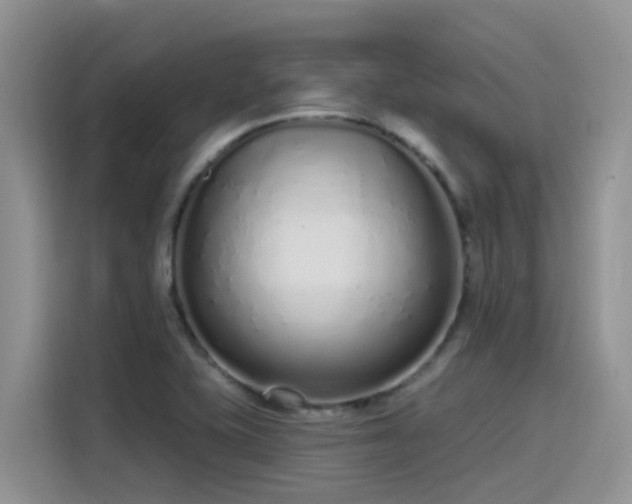 X0000115631415200911171327