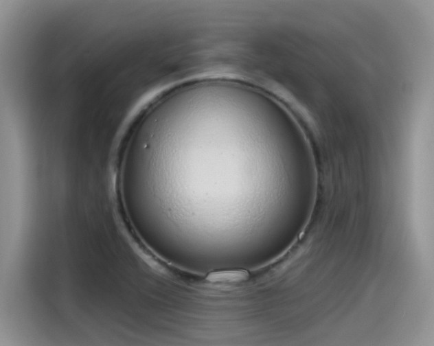 X0000115631416200911171327