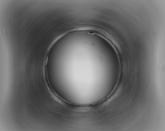 X0000115631417200911171327