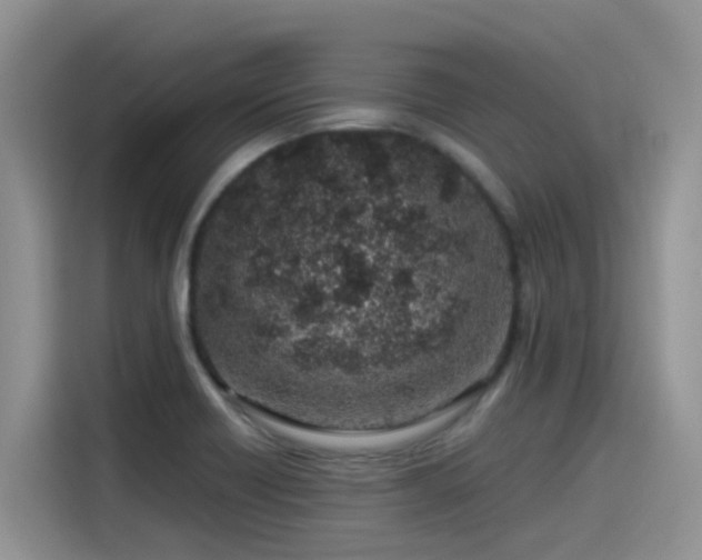 X0000115631418200911171327