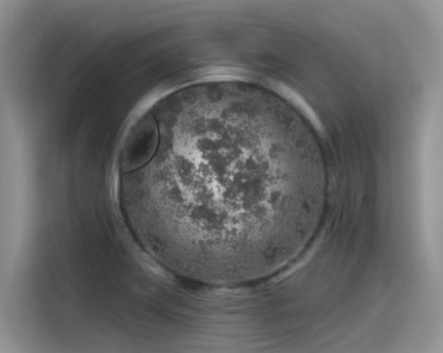 X0000115631419200911171327