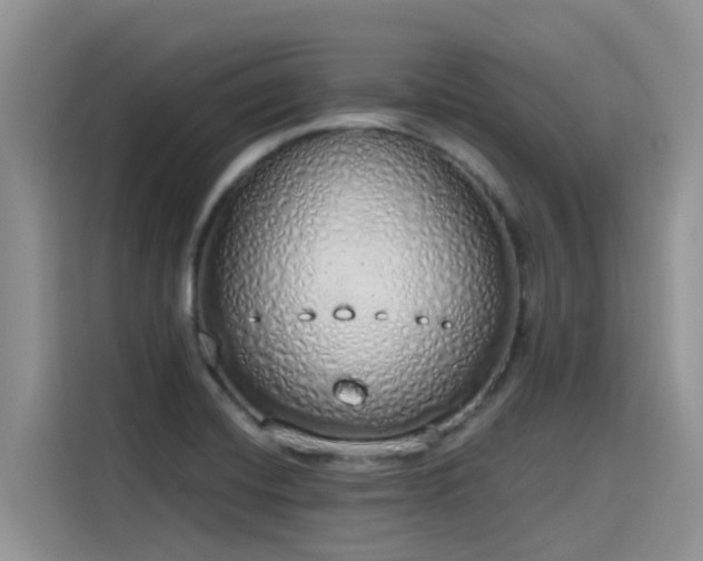 X0000115631420200911171327