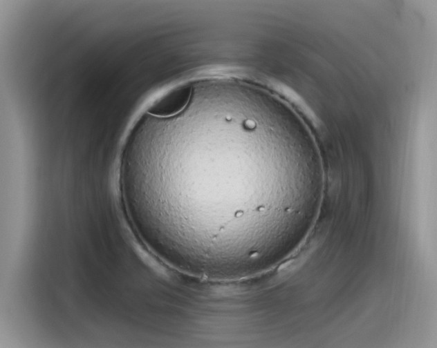 X0000115631421200911171327