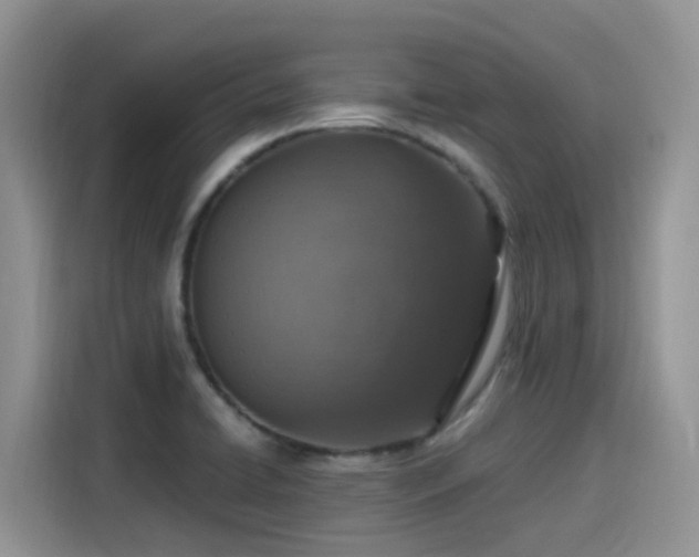 X0000115631422200911171327