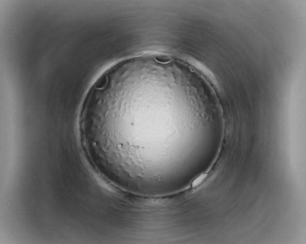X0000115631423200911171327