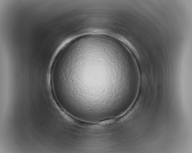 X0000115631424200911171327