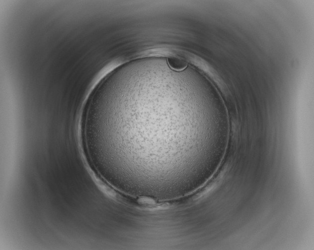 X0000115631426200911171327