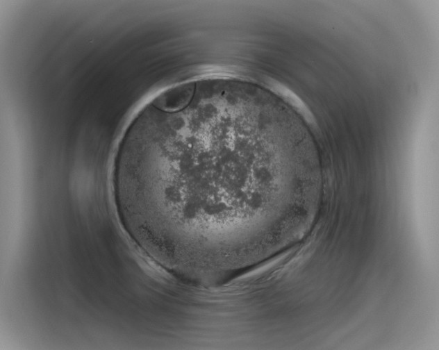 X0000115631427200911171327