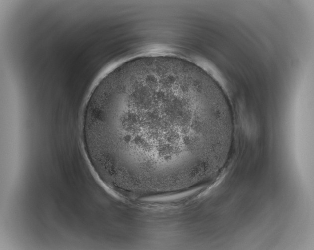 X0000115631429200911171327