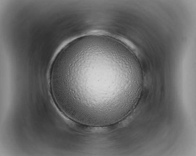 X0000115631430200911171327