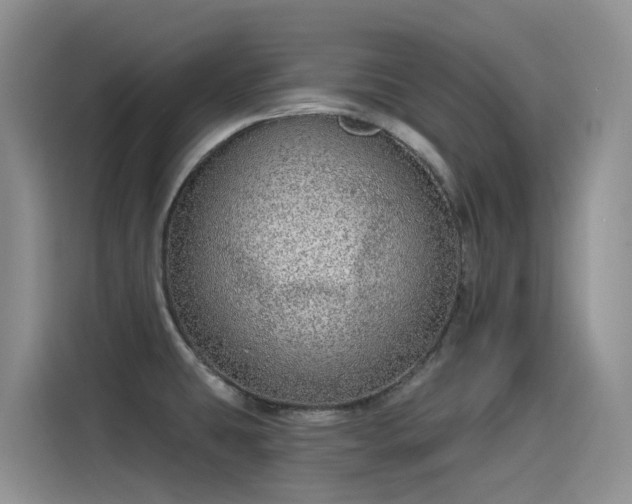 X0000115631431200911171327