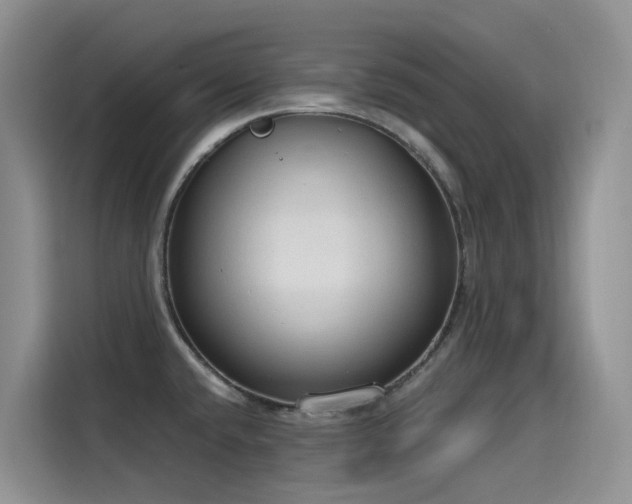 X0000115631432200911171327