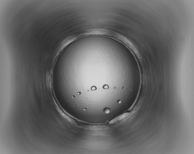 X0000115631433200911171327