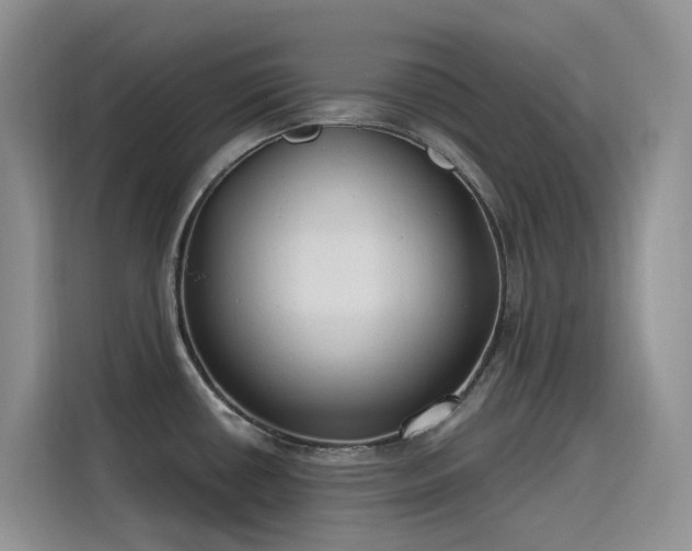 X0000115631434200911171327